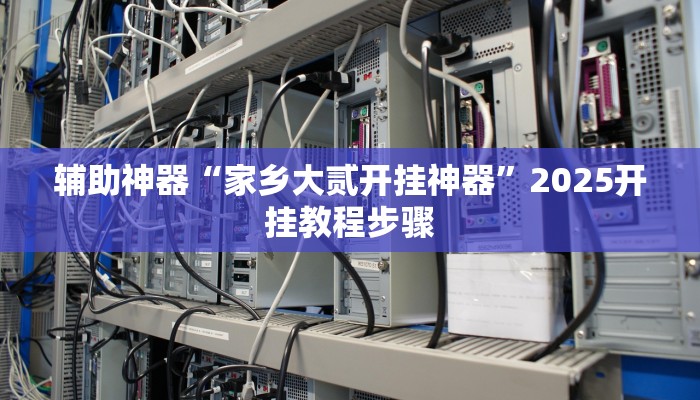 辅助神器“家乡大贰开挂神器”2025开挂教程步骤