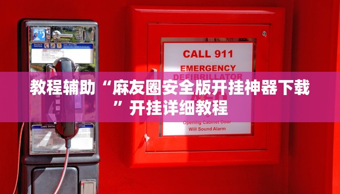 教程辅助“麻友圈安全版开挂神器下载”开挂详细教程