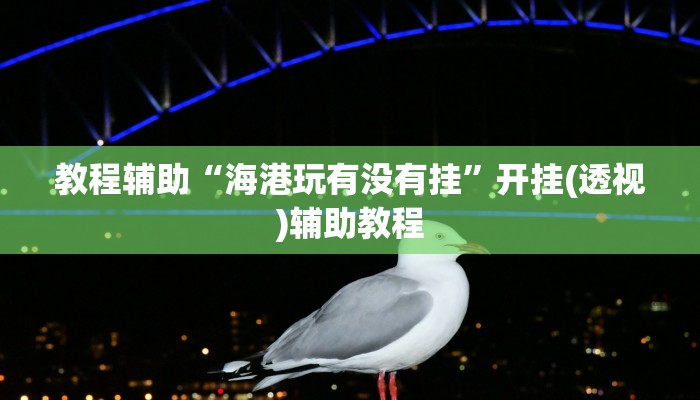 教程辅助“海港玩有没有挂”开挂(透视)辅助教程