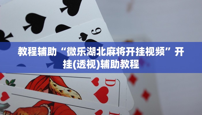 教程辅助“微乐湖北麻将开挂视频”开挂(透视)辅助教程 教程辅助“微乐湖北麻将开挂视频”开挂(透视)辅助教程