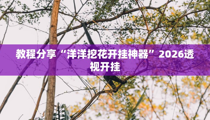 教程分享“洋洋挖花开挂神器”2026透视开挂 教程分享“洋洋挖花开挂神器”2026透视开挂