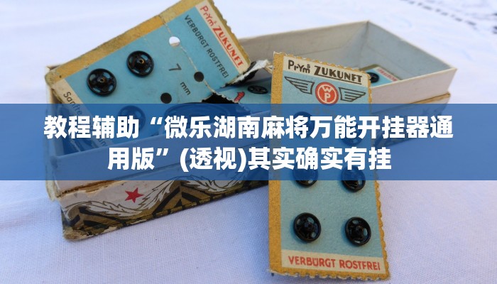 教程辅助“微乐湖南麻将万能开挂器通用版”(透视)其实确实有挂