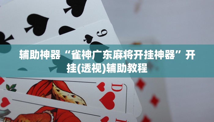 辅助神器“雀神广东麻将开挂神器”开挂(透视)辅助教程 辅助神器“雀神广东麻将开挂神器”开挂(透视)辅助教程