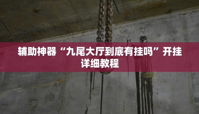 辅助神器“九尾大厅到底有挂吗”开挂详细教程