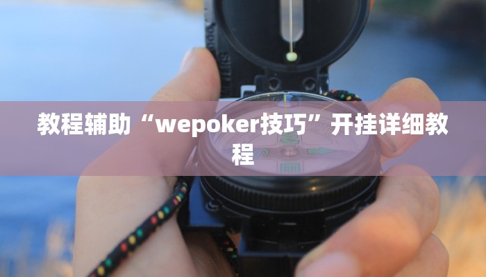 教程辅助“wepoker技巧”开挂详细教程