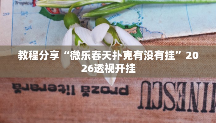 教程分享“微乐春天扑克有没有挂”2026透视开挂 教程分享“微乐春天扑克有没有挂”2026透视开挂
