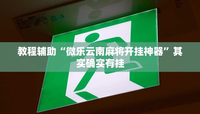 教程辅助“微乐云南麻将开挂神器”其实确实有挂 教程辅助“微乐云南麻将开挂神器”其实确实有挂