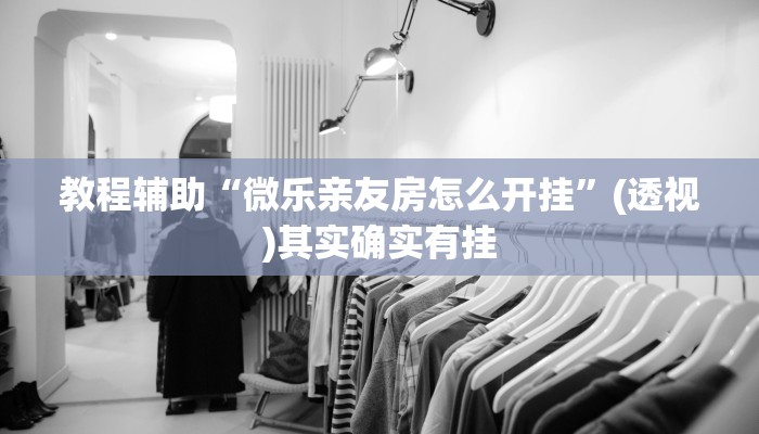 教程辅助“微乐亲友房怎么开挂”(透视)其实确实有挂 教程辅助“微乐亲友房怎么开挂”(透视)其实确实有挂