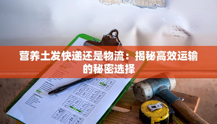 教程辅助“大唐麻将外卦神器下载安装最新”(透视)其实确实有挂