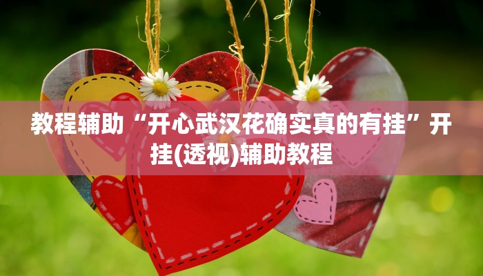 教程辅助“开心武汉花确实真的有挂”开挂(透视)辅助教程 教程辅助“开心武汉花确实真的有挂”开挂(透视)辅助教程