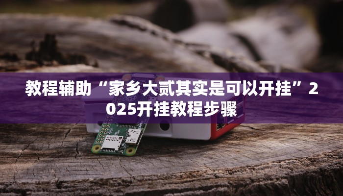 教程辅助“家乡大贰其实是可以开挂”2025开挂教程步骤 教程辅助“家乡大贰其实是可以开挂”2025开挂教程步骤