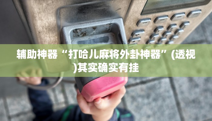 辅助神器“打哈儿麻将外卦神器”(透视)其实确实有挂 辅助神器“打哈儿麻将外卦神器”(透视)其实确实有挂