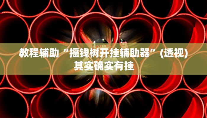 教程辅助“摇钱树开挂辅助器”(透视)其实确实有挂 教程辅助“摇钱树开挂辅助器”(透视)其实确实有挂