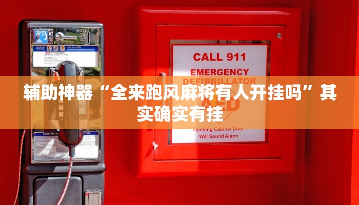 辅助神器“全来跑风麻将有人开挂吗”其实确实有挂