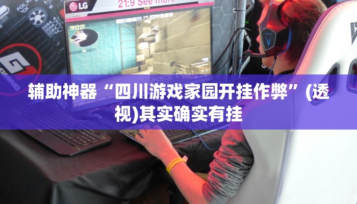 辅助神器“四川游戏家园开挂作弊”(透视)其实确实有挂