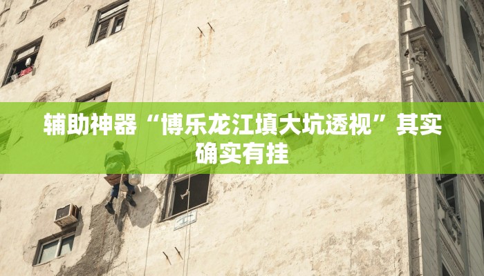 辅助神器“博乐龙江填大坑透视”其实确实有挂