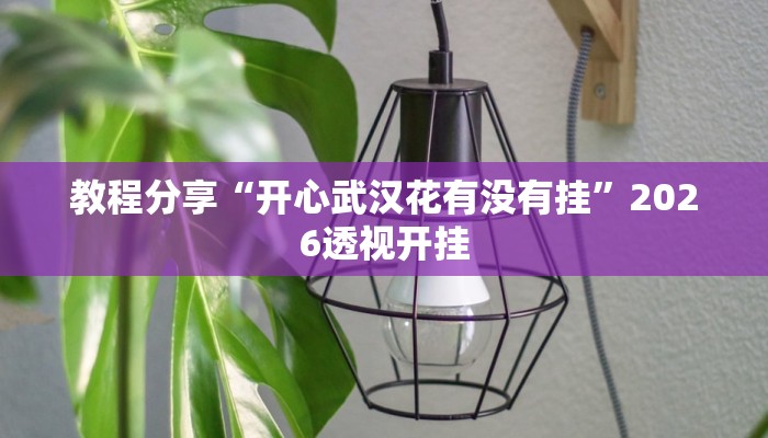 教程分享“开心武汉花有没有挂”2026透视开挂