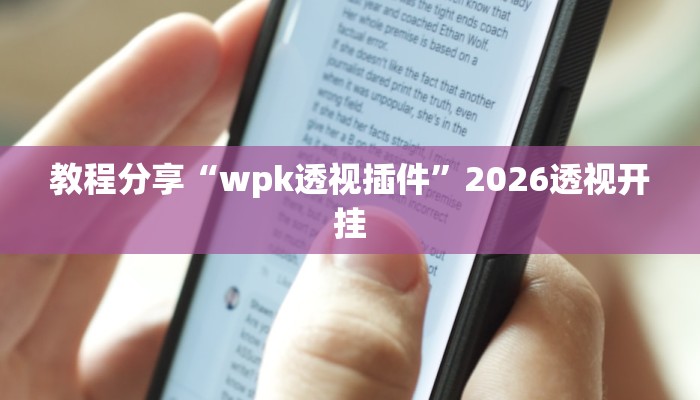 教程分享“wpk透视插件”2026透视开挂
