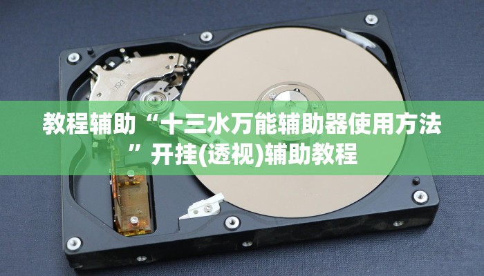 教程辅助“十三水万能辅助器使用方法”开挂(透视)辅助教程 教程辅助“十三水万能辅助器使用方法”开挂(透视)辅助教程