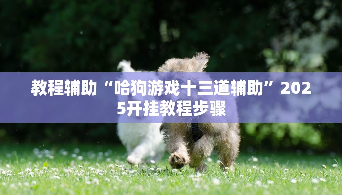 教程辅助“哈狗游戏十三道辅助”2025开挂教程步骤 教程辅助“哈狗游戏十三道辅助”2025开挂教程步骤