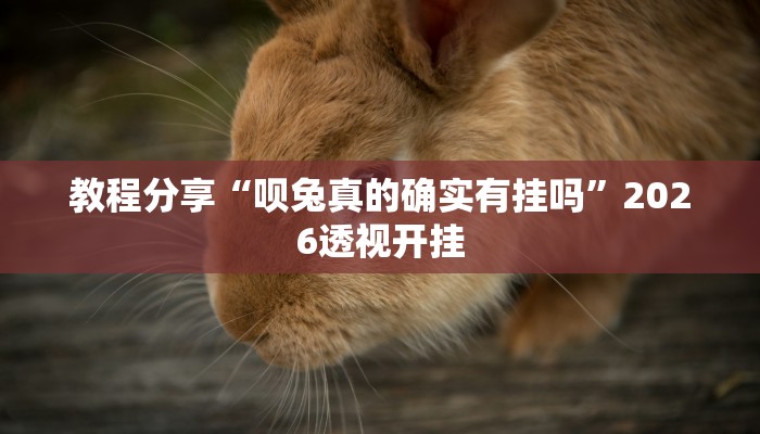 教程分享“呗兔真的确实有挂吗”2026透视开挂