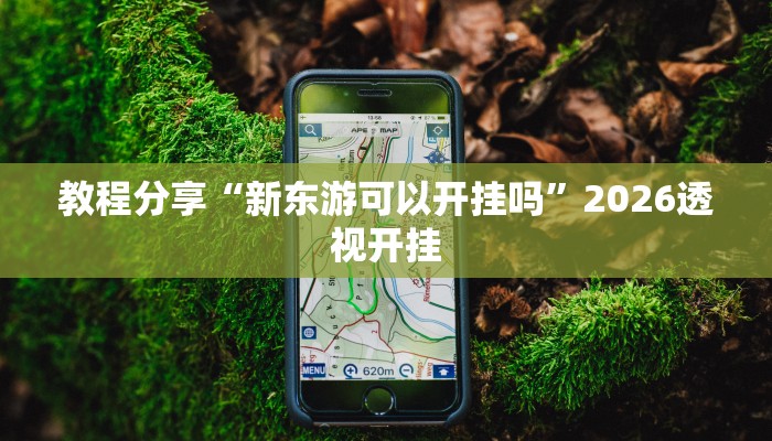 教程分享“新东游可以开挂吗”2026透视开挂