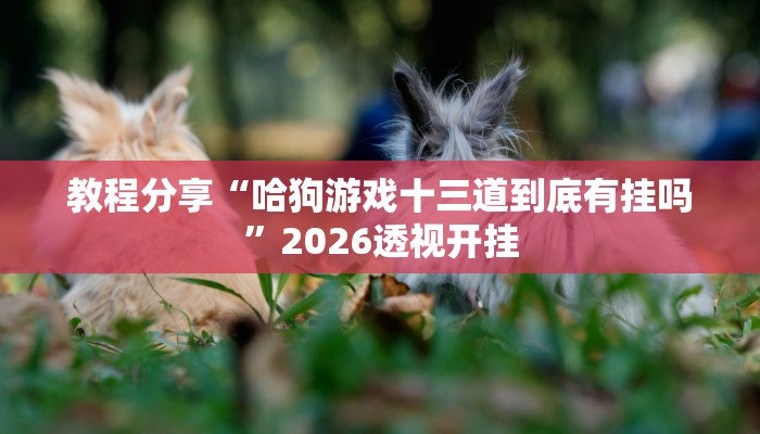 教程分享“哈狗游戏十三道到底有挂吗”2026透视开挂