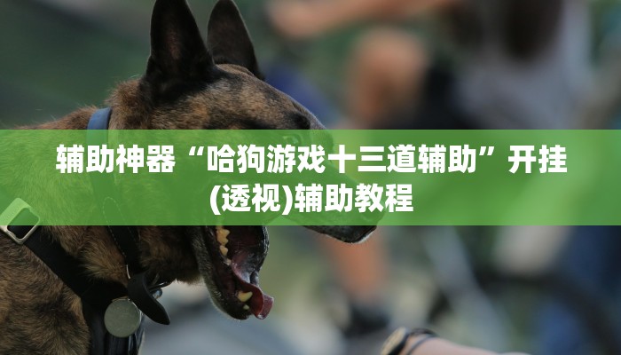 辅助神器“哈狗游戏十三道辅助”开挂(透视)辅助教程