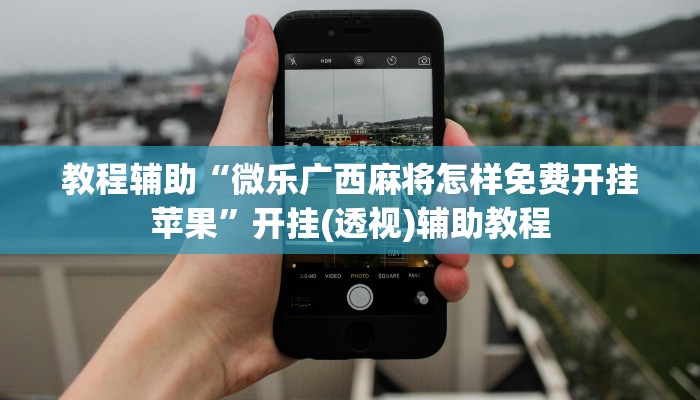 教程辅助“微乐广西麻将怎样免费开挂苹果”开挂(透视)辅助教程