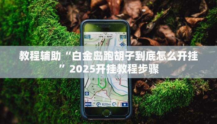 教程辅助“白金岛跑胡子到底怎么开挂”2025开挂教程步骤 教程辅助“白金岛跑胡子到底怎么开挂”2025开挂教程步骤