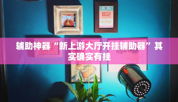 辅助神器“福建兄弟十三水可以开挂吗”开挂(透视)辅助教程