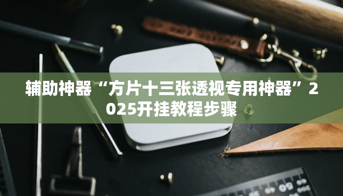 辅助神器“方片十三张透视专用神器”2025开挂教程步骤 辅助神器“方片十三张透视专用神器”2025开挂教程步骤