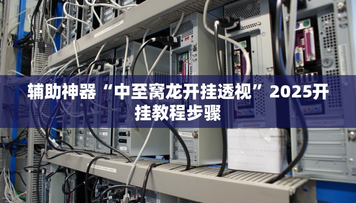 辅助神器“中至窝龙开挂透视”2025开挂教程步骤