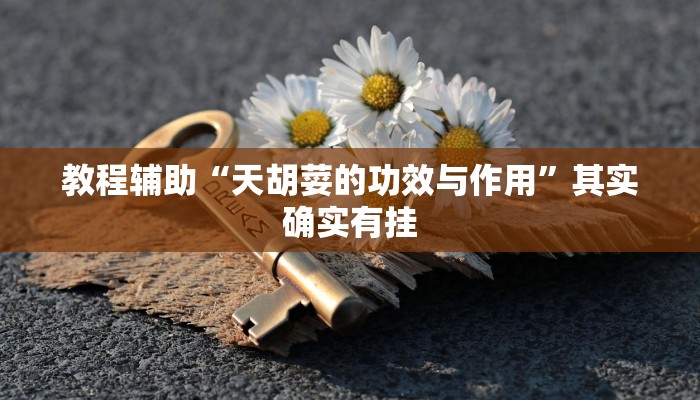 辅助神器“云南保山麻将开挂神器下载”2025开挂教程步骤 辅助神器“云南保山麻将开挂神器下载”2025开挂教程步骤