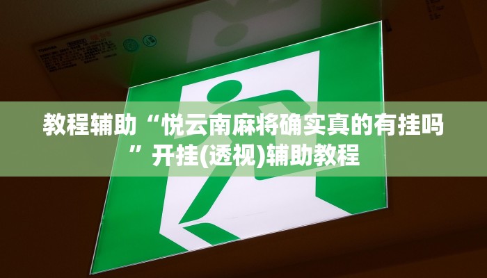 教程辅助“悦云南麻将确实真的有挂吗”开挂(透视)辅助教程 教程辅助“悦云南麻将确实真的有挂吗”开挂(透视)辅助教程