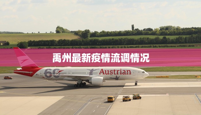 禹州最新疫情流调情况 禹州最新疫情流调情况
