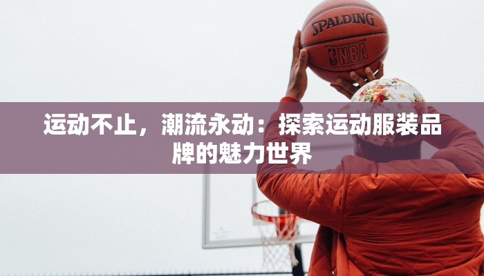 物流快递包晾衣架：创新设计，让生活更便捷