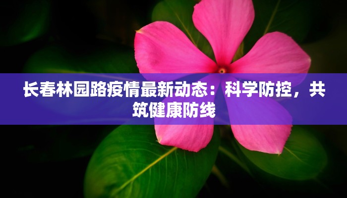 长春林园路疫情最新动态：科学防控，共筑健康防线