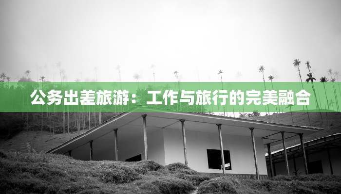 公务出差旅游：工作与旅行的完美融合