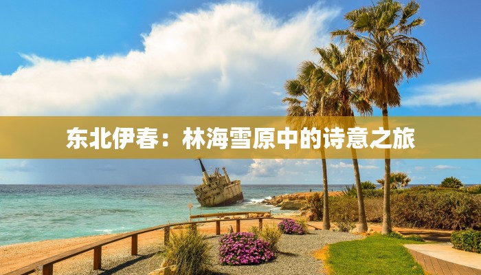 东北伊春：林海雪原中的诗意之旅