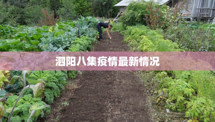 泗阳八集疫情最新情况